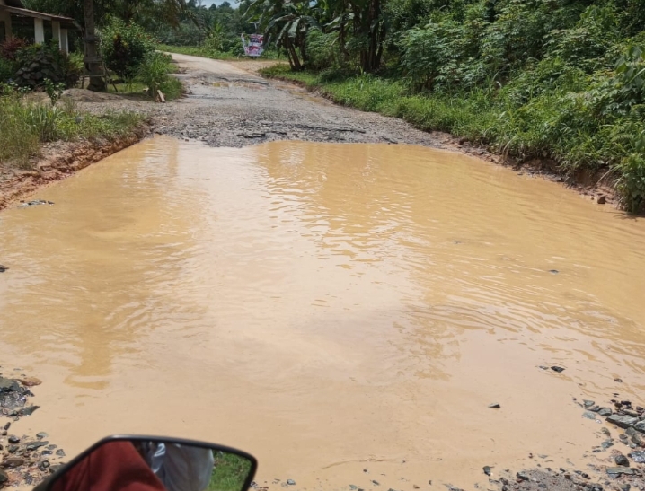 Jalan Provinsi Sidas -Simpang Tiga Seperti Kubangan Babi, Pemprov Kalbar Dinilai Tutup Mata